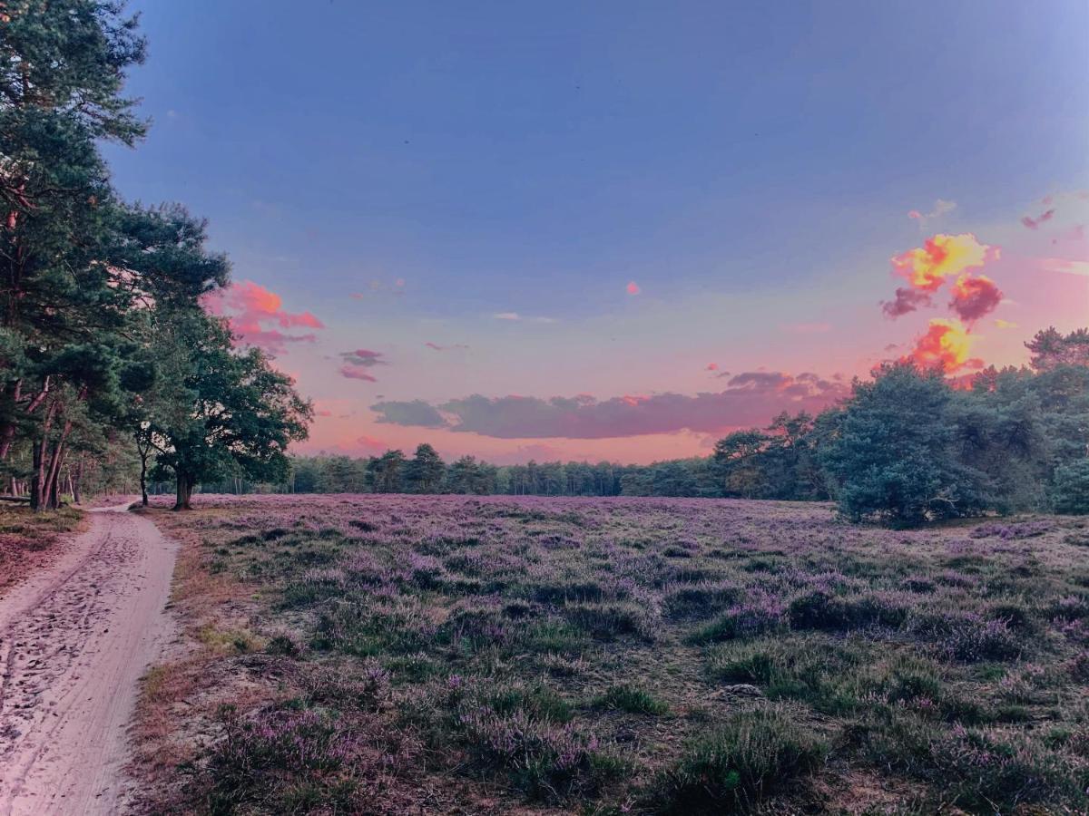 Rode Bosuil: Thuiskomen Op De Veluwe! Otterlo Exteriér fotografie